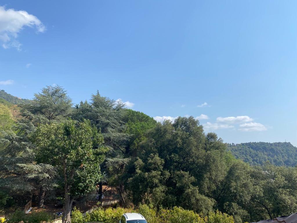 Апарт готель Domaine Des Anges Амелі-ле-Бен-Палальда Екстер'єр фото
